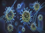 Future variants will be more transmissible:WHO