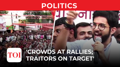Aaditya Thackeray draws huge crowds during his Maharashtra tour, rallies: Will crowds worry BJP?