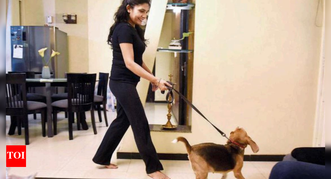 Searched & found A hotel that's open to pets, has a twin towers view