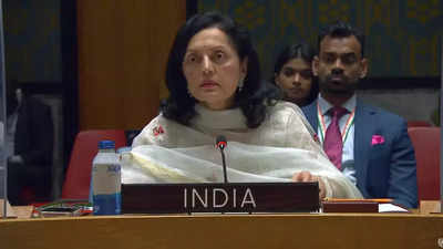 "Coercive or Unilateral" action to change status quo will undermine common security: India at UNSC amid Taiwan tensions