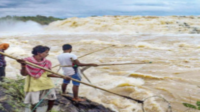 banner img