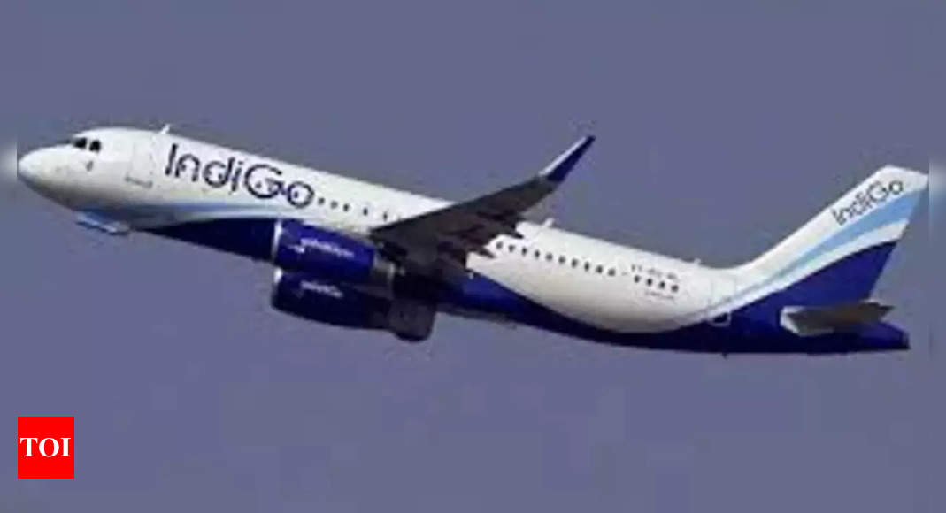 Mumbai-bound IndiGo aircraft develops snag at Goa airport, passengers disembarked safely – Times of India
