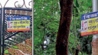 banner img