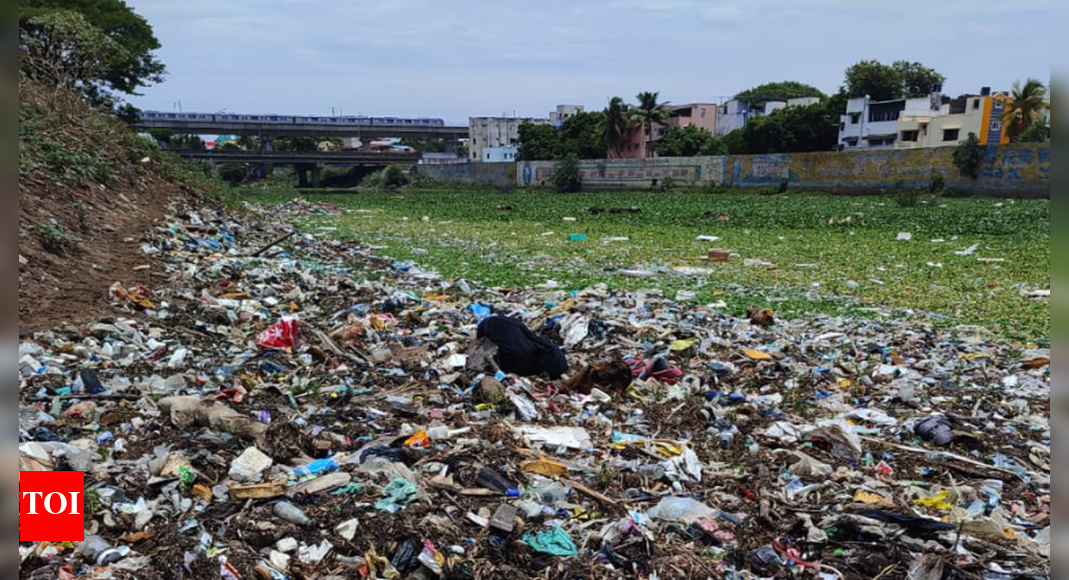 Heaps of garbage dumped on Adyar riverbanks in Chennai | Chennai News ...