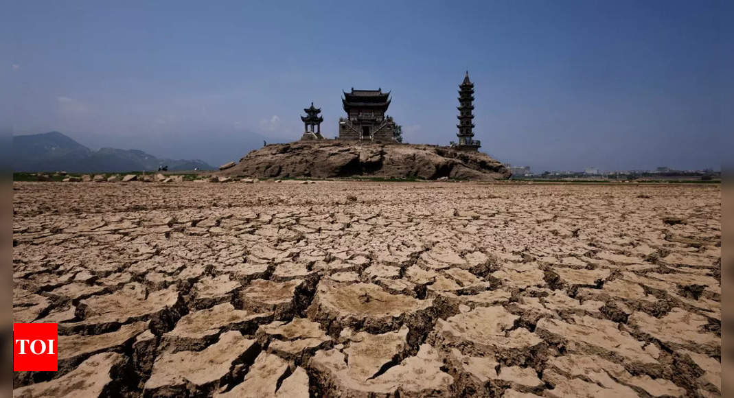 China’s shrinking ‘kidney’ lake lays bare growing climate challenges