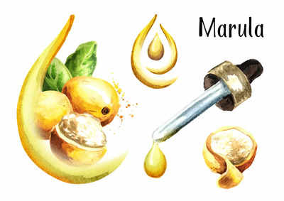 All you need to know about the magical Marula oil