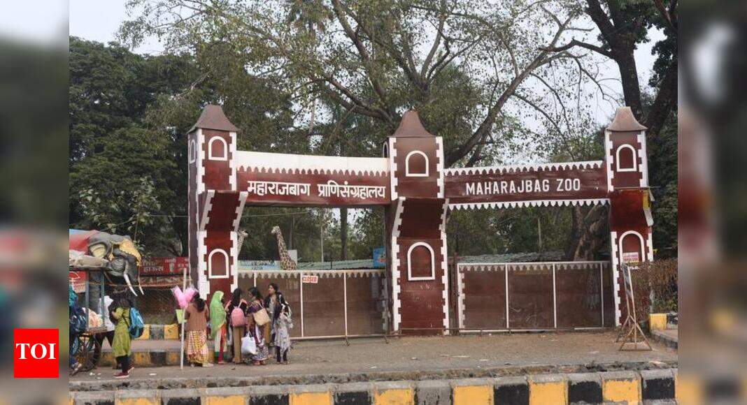 PDKV makes alternative arrangement for morning walkers Nagpur News