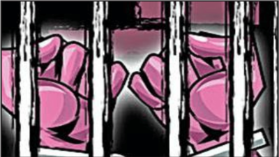 2 convicts in Hyderabad jail, another in Delhi