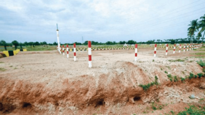 Tamil Nadu: Vedanthangal, Karikkili sanctuaries starved of funds for