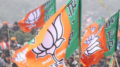 Uttar Pradesh BJP chief appointment to balance government and organisation