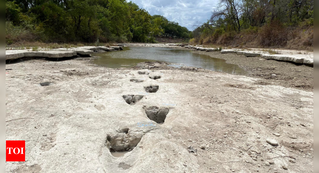 Drought uncovers dinosaur tracks in US park – Times of India