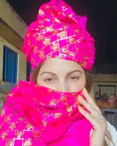 सोनाली फोगट (फाइल फोटो) बैनर img