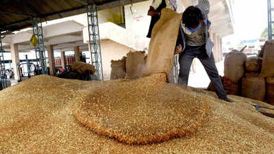 Government puts restrictions on export of wheat flour