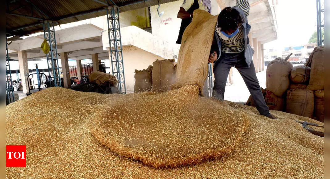 Government puts restrictions on export of wheat flour India News
