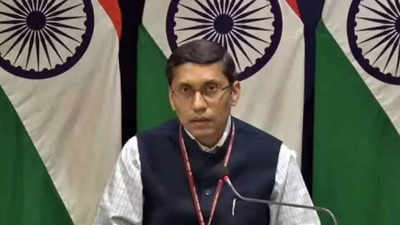 In touch with Russia: MEA on arrest of ISIS terrorist