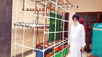 Australia-based NRI builds hydroponics farm for centenarian dad at Mullanpur