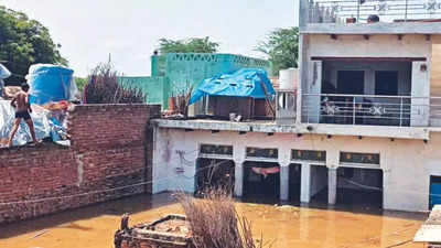 Chambal river crosses high flood level mark, over 38 Agra villages hit
