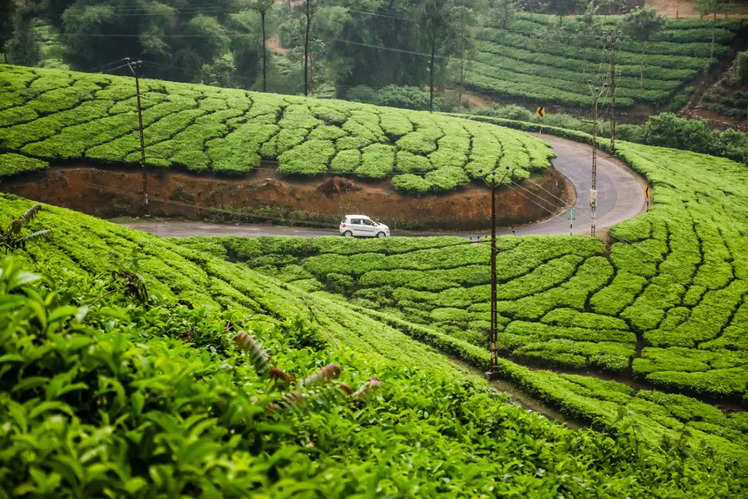 10 stunning photos of Kerala that will leave you speechless! | Times of ...