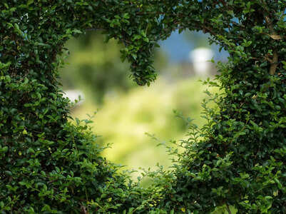 Weekly love horoscope: 29th Aug to 4rth Sep