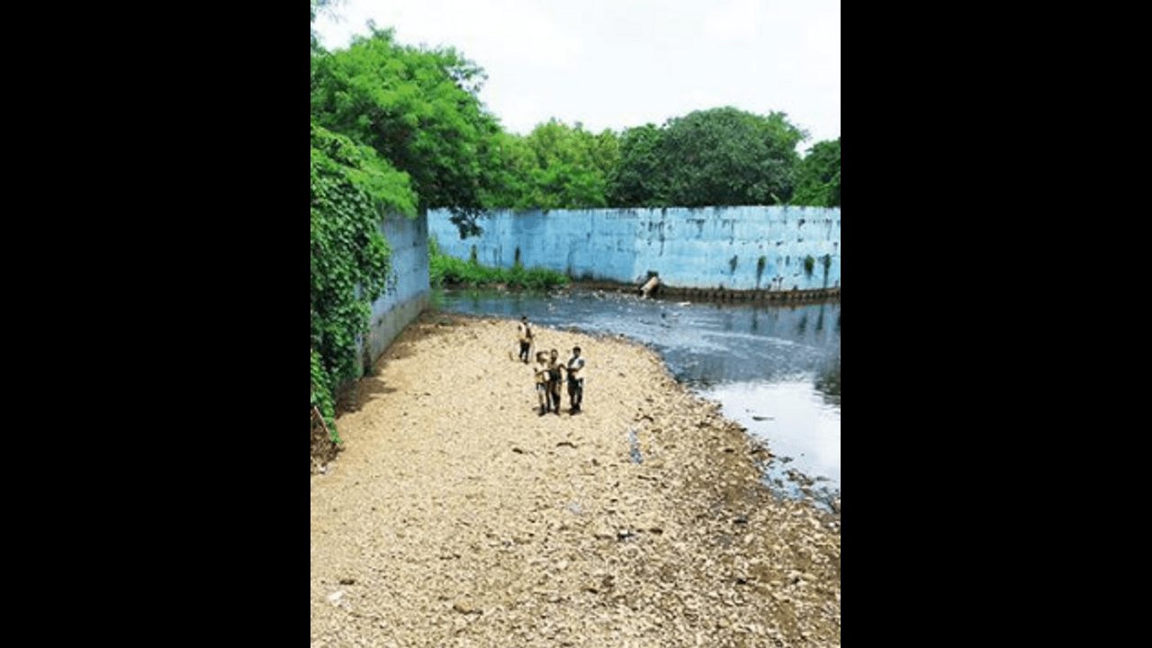 West Bengal: Peacock Manhandled by Villagers For Selfie, Dies