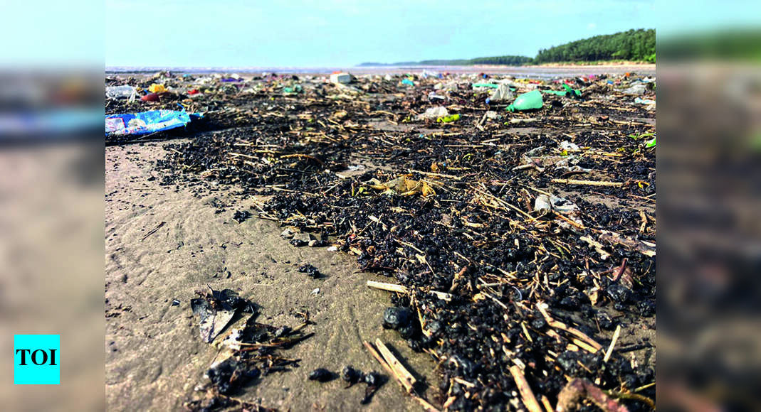 Nargol: Tarballs Paint Picturesque Nargol Beach In Valsad Black | Surat ...