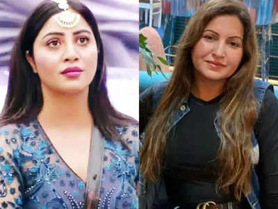 Arshi Khan on Sonali Phogat death: I'm really scared looking at the viral video, my soul is cursing the culprits - Exclusive