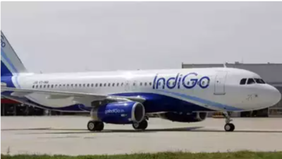 IndiGo flight delayed after Chennai man makes hoax bomb call to prevent sister from travelling to Dubai