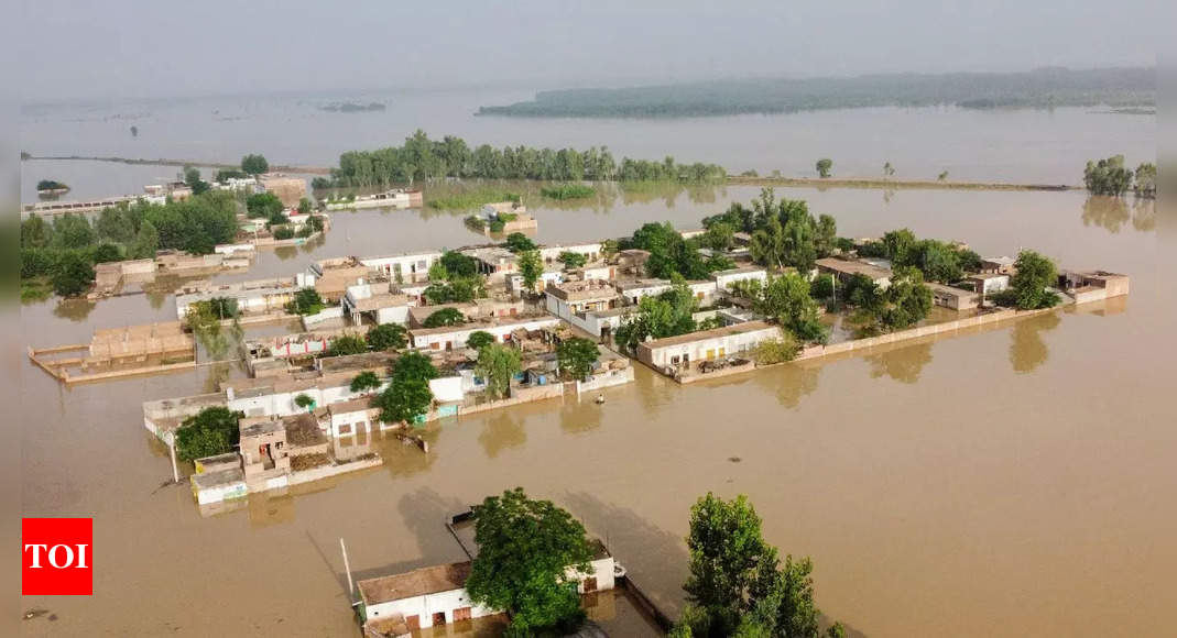 Floods to cause $4 bn loss to Pakistan’s economy: Report | Cricket News – Times of India