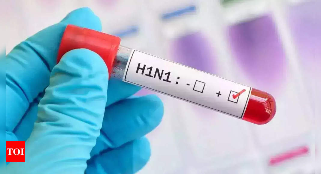 Swine flu strikes again after 3 years, Hyderabad gasps | Hyderabad News -  Times of India