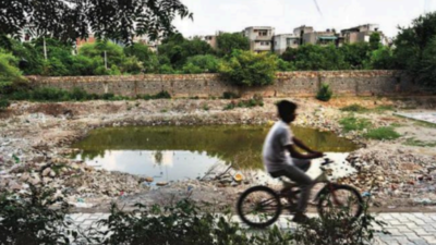 Delhi: 20 waterbodies picked to get fresh life | Delhi News - Times of ...