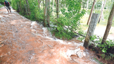Farms flooded, houses damaged as rain batters Mysuru and Mandya districts