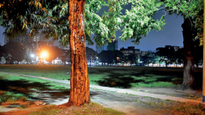 Kolkata Municipal Corporation looks to shift market to Park Circus Maidan