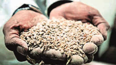 Andhra Pradesh: Traders welcome ban on wheat flour export