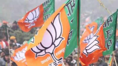 Himachal Pradesh: BJP surveys leave ticket aspirants restless