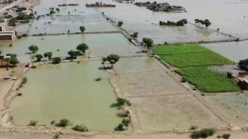 Over 1,000 killed in Pakistan monsoon floods