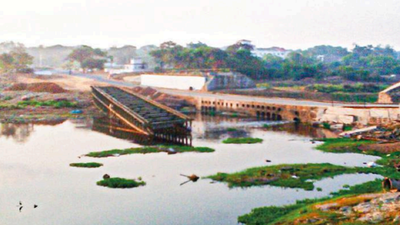 Tamil Nadu: New bridge over Adyar river soon