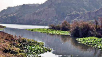 banner img