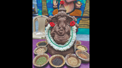 Tamil Nadu: Ganesha’s green avatars in vogue