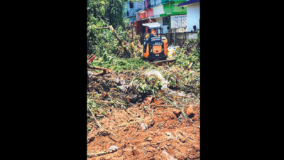 Clearing of undergrowth in vacant plots begins