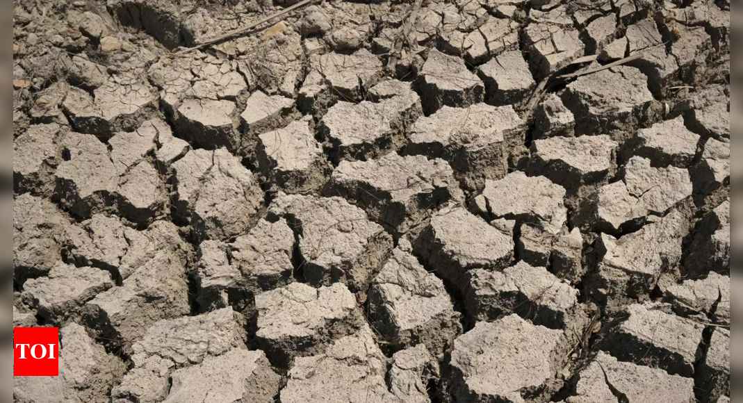 China’s drought-hit areas get rain, bringing flood risks – Times of India