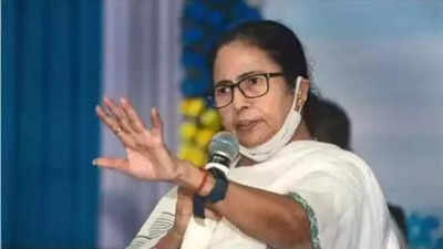 West Bengal CM Mamata Banerjee accuses BJP and CPM of spreading canards