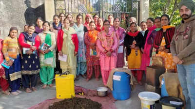 Himachal Pradesh women farmers set to become change-makers in agro-marketing