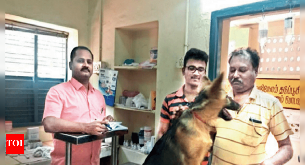 Now, get your dogs registered with Greater Chennai Corporation