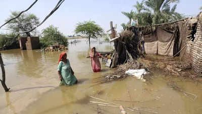 Pakistan government sets up national disaster agency to tackle devastation caused by unprecedented floods