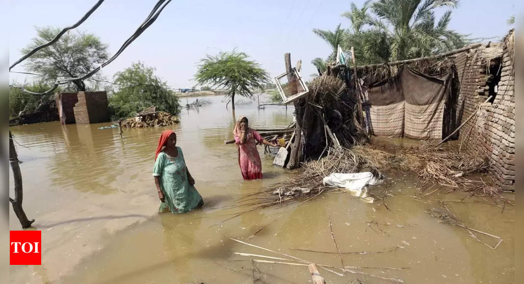 Pakistan government sets up national disaster agency to tackle devastation caused by unprecedented floods – Times of India