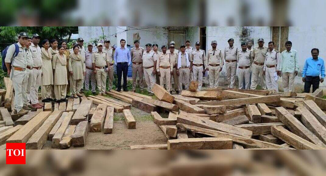 mp-teak-wood-price-in-india-informacionpublica-svet-gob-gt
