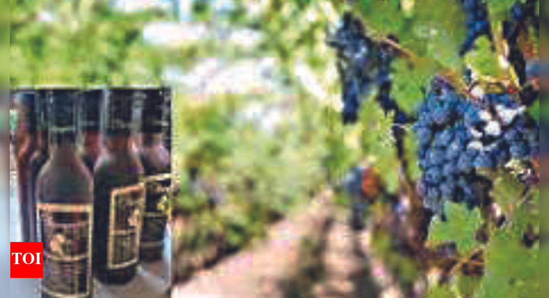 Mizoram nod to manufacture and sale of locally made wine Guwahati News Times of India