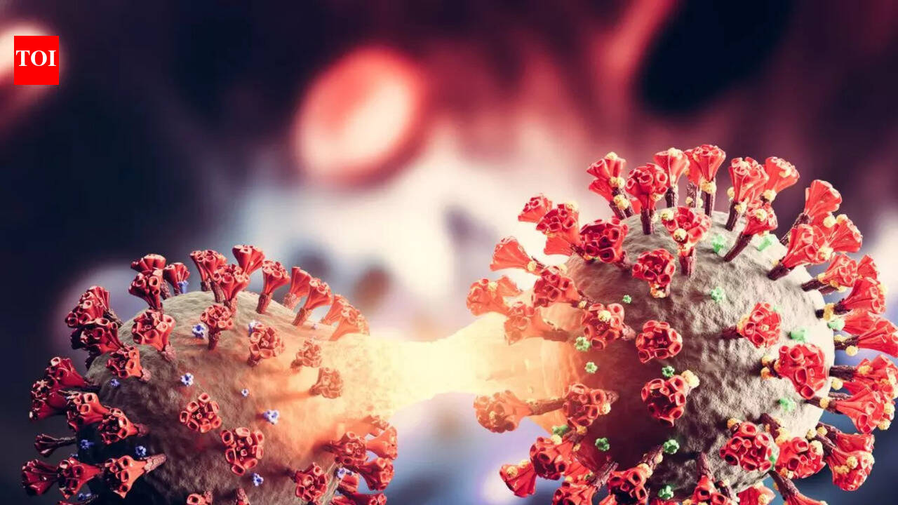 Coronavirus Symptoms: After exposure to Omicron BA.4 and BA.5, how long ...