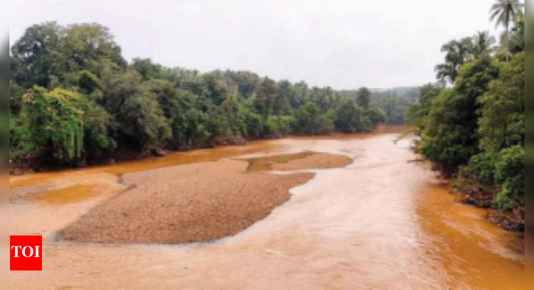 Wrd Goa High turbidity in Khandepar river, WRD says water safe Goa