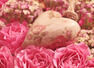 Monthly love horoscope: September, 2022